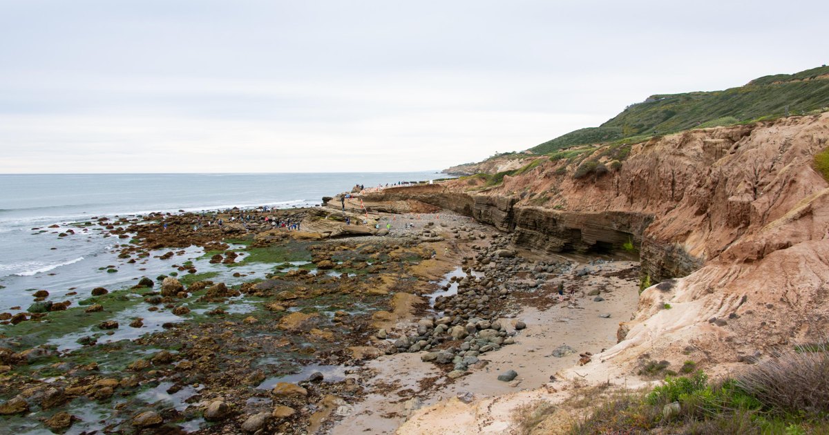 Exposed tide pools and sandstone cliffs at Cabrillo National Monument in Point Loma