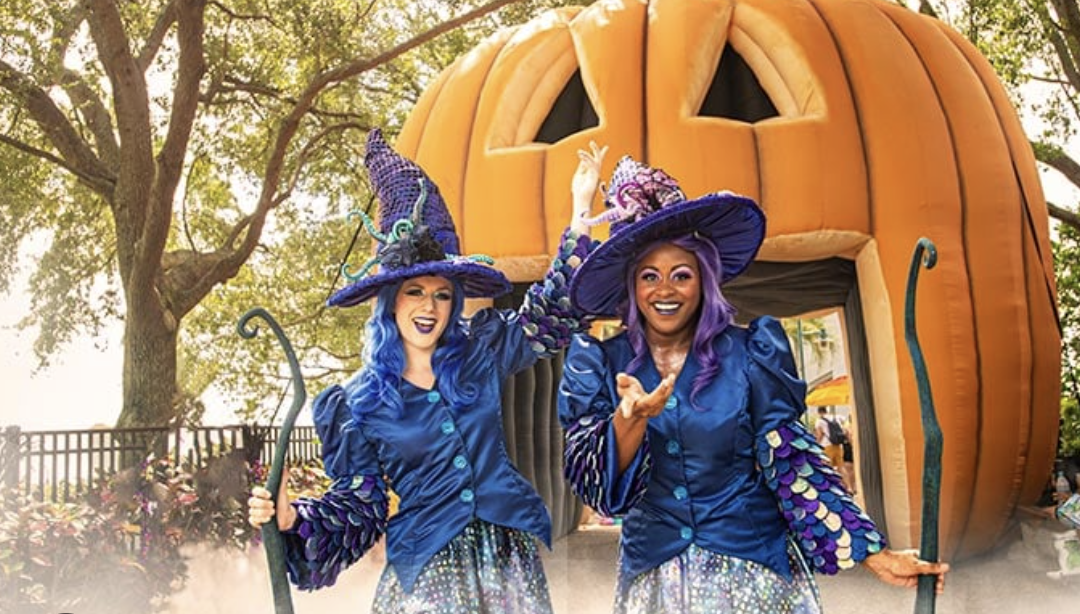 Costumed witches welcoming families to SeaWorld Spooktacular
