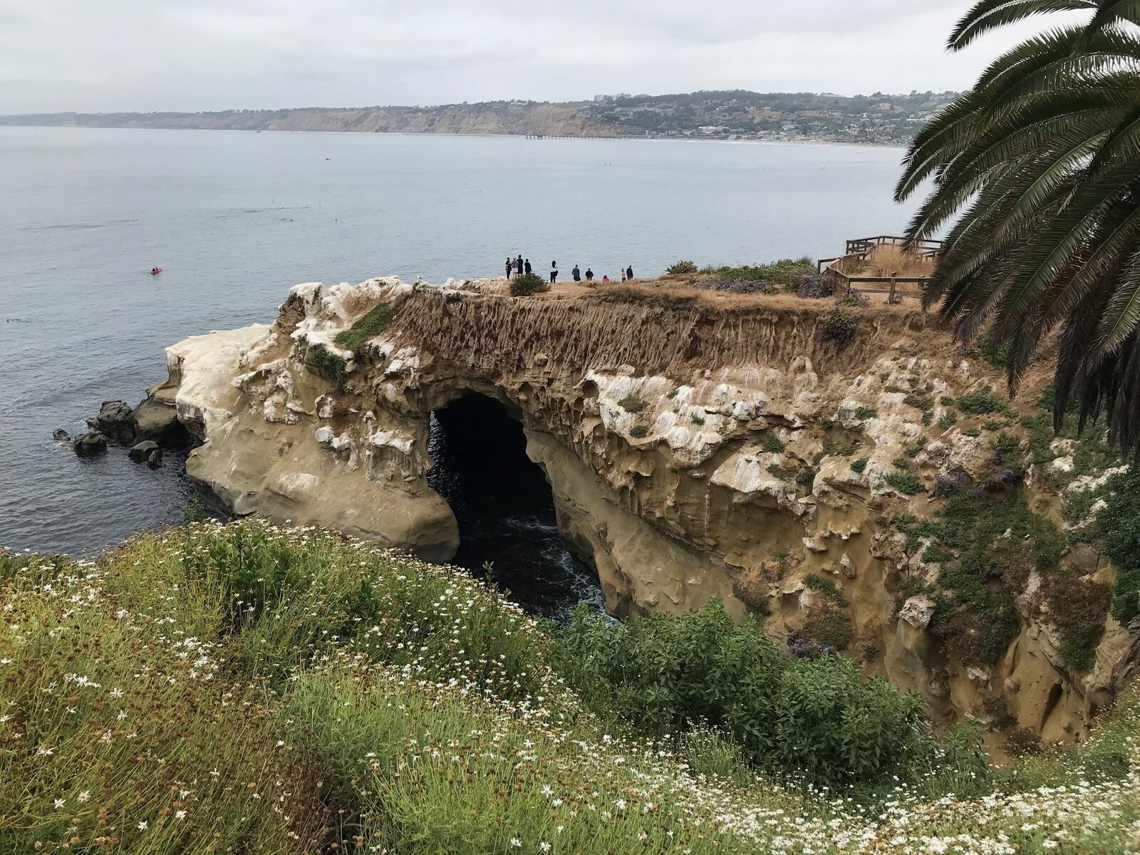 Rocky Goldfish Point promontory overlooking La Jolla's sea caves and the Pacific